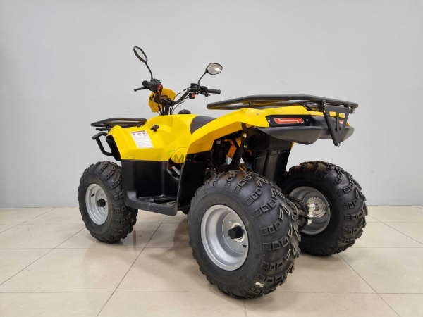 Квадроцикл IRBIS (Ирбис) ATV 200 LUX 2024 желтый с ПСМ | Мототека