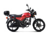 Мопед TMBK ALPHA 50 (110) Red - купить с доставкой, по выгодной цене в интернет-магазине Мототека