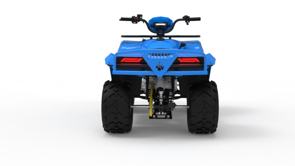 Квадроцикл IRBIS (Ирбис) ATV 250 2024 синий с ПСМ | Мототека