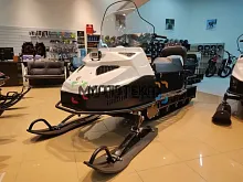 Снегоход БТС Арктик - 4Т Лонг Люкс 20 л.с.. эл. запуск. реверс. тормоз белый (машинокомплект)